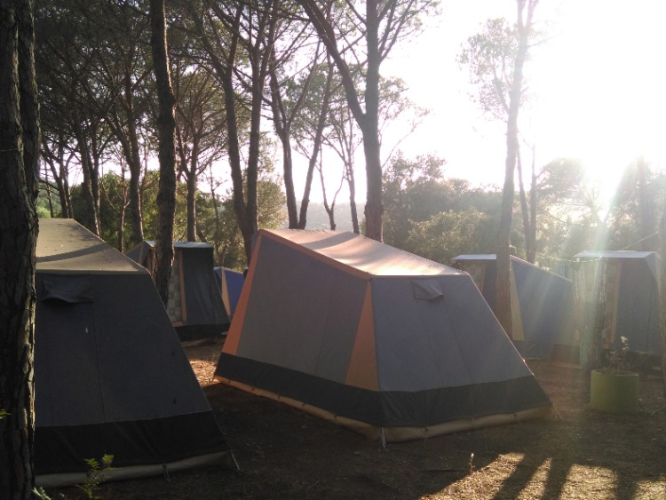Camping Calapineta