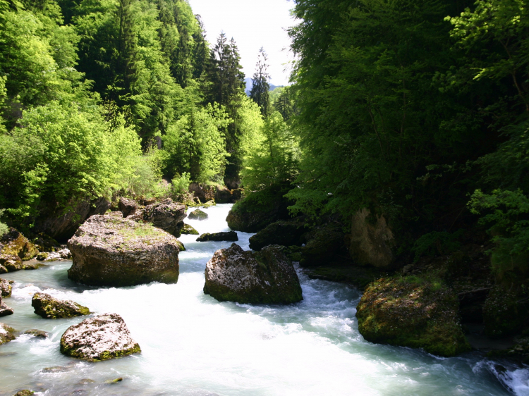Singlereis Wandelen in de Franse Alpen