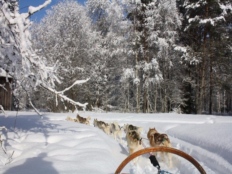 Groepsreis Actieve winterreis Varmland Zweden