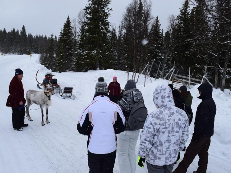 Singlereis Winters Avontuur Zweeds Lapland