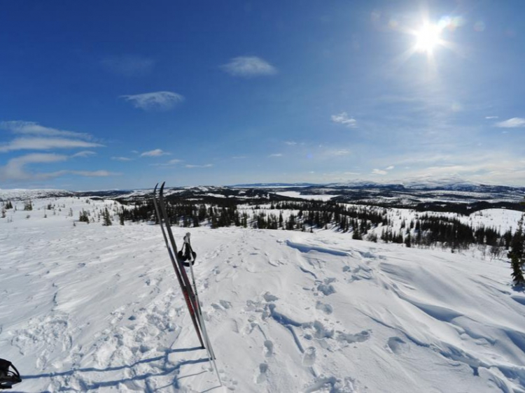 Singlereis Winters Avontuur Zweeds Lapland