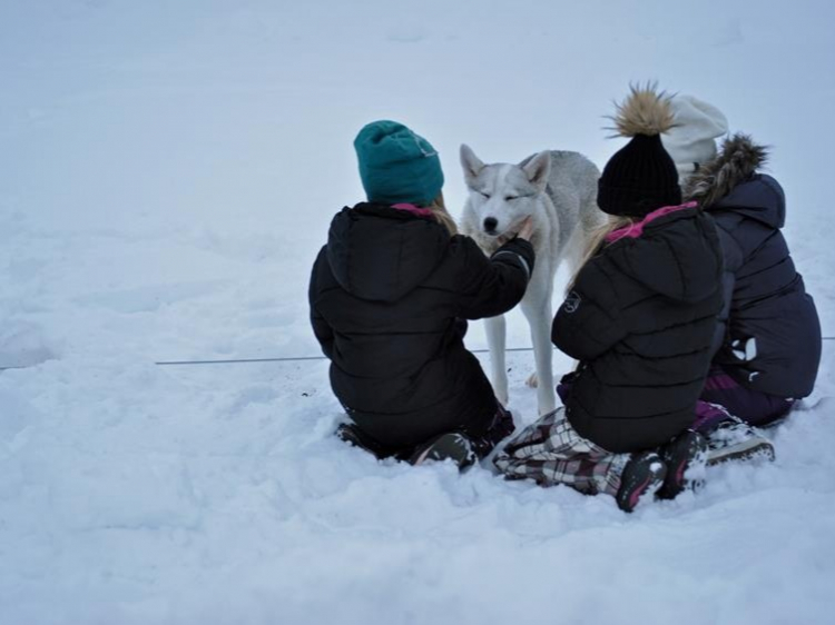 Eenoudervakantie Winters Avontuur in Zweeds Lapland