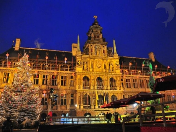 Singlereis Genieten van Oudjaar in Antwerpen