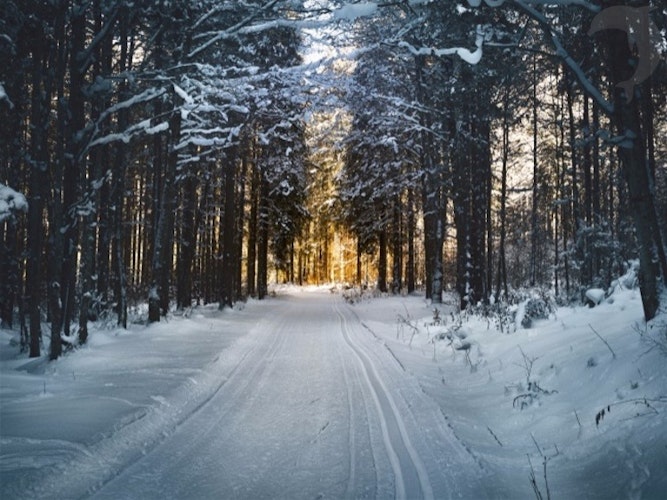 Groepsreis Wintersport Lapland in winters Scandinavië 