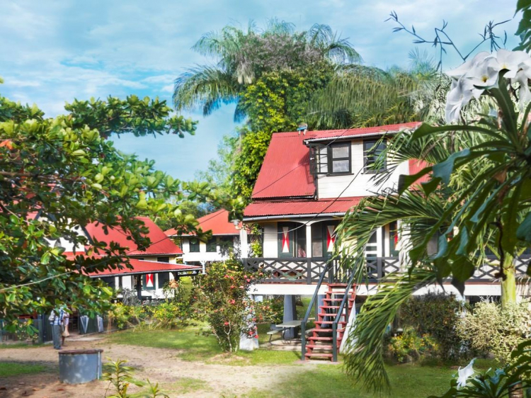 Singlereis Rondreis kleurrijk Suriname
