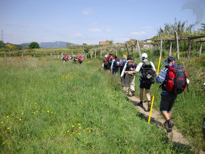 Singlereis Wandelen naar Santiago de Compostela