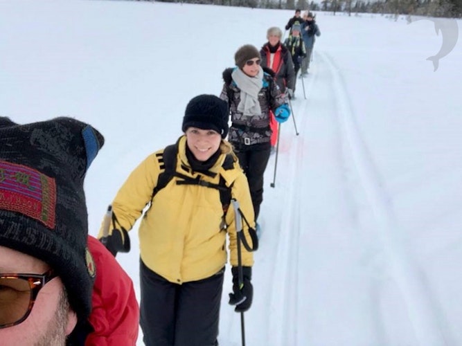 Singlereis Winters Avontuur in Zweeds Lapland
