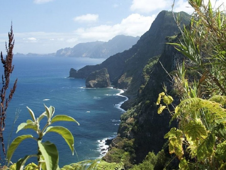 Singlereis Optimaal genieten  op Madeira
