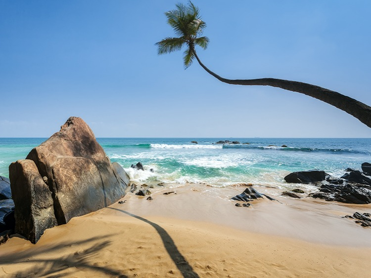 Singlereis Sri Lanka Strand & Cultuur