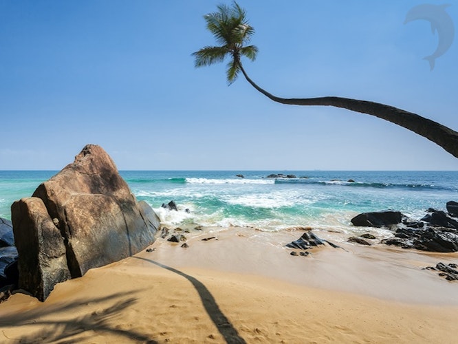 Singlereis Sri Lanka Strand & Cultuur