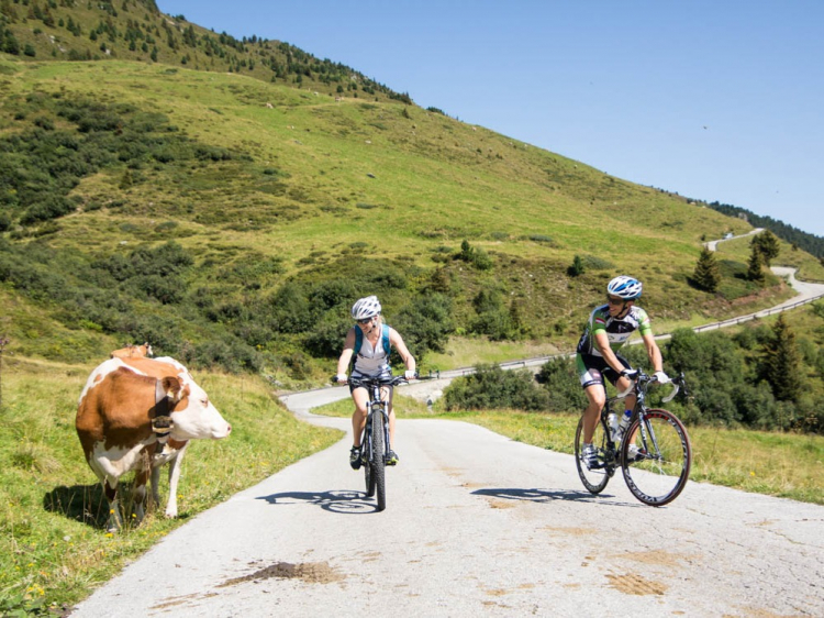 Singlereis Hike en Bike in de Alpen