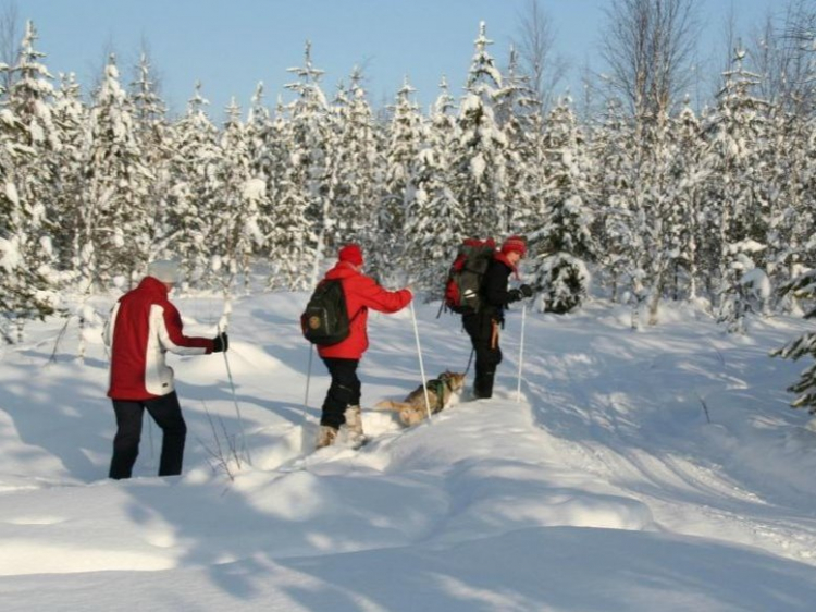Singlereis Winterreis (HBO-WO) naar Lapland