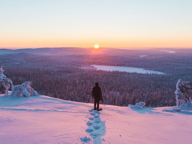 Singlereis Winterreis (HBO-WO) naar Lapland