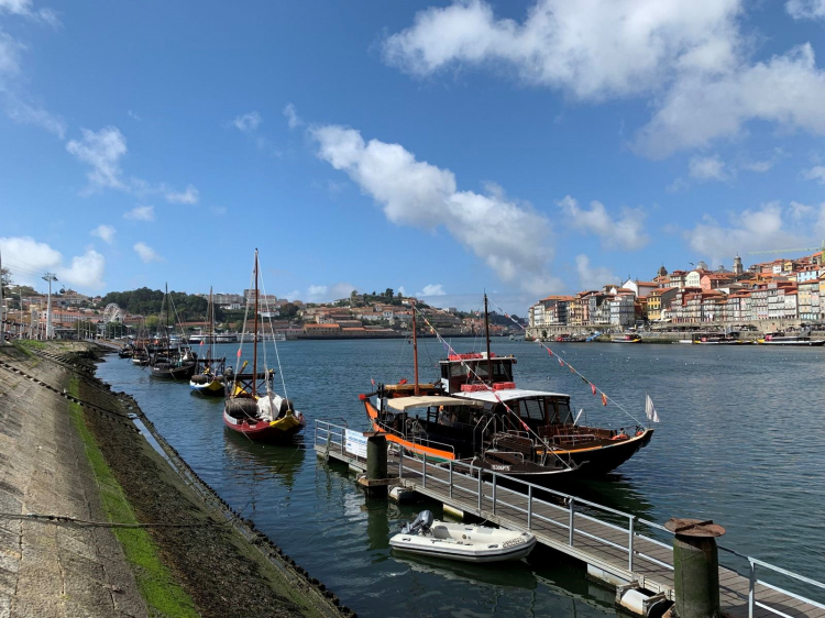 Singlereis Zorgeloze Zonvakantie in Porto