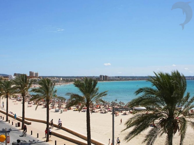 Jongerenreis Strand en Feest op Mallorca