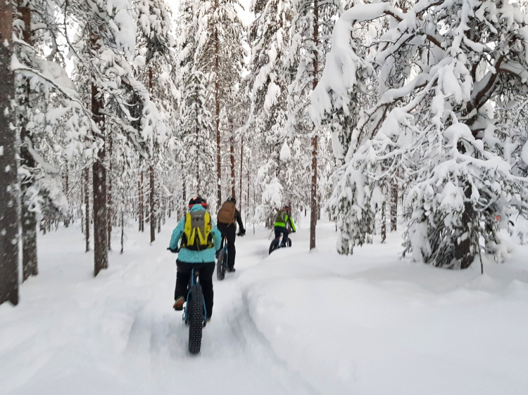Groepsreis Actieve Winterreis in Fins Lapland