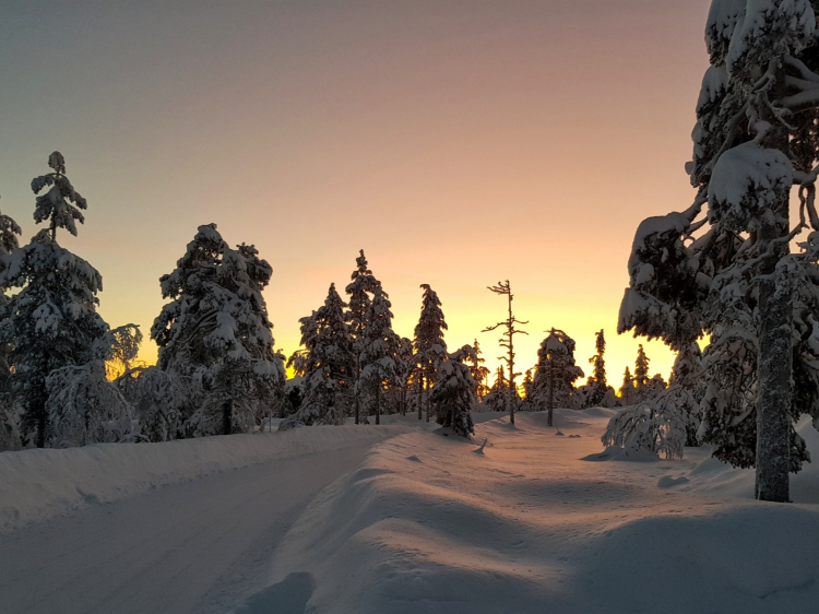 Groepsreis Actieve Winterreis in Fins Lapland