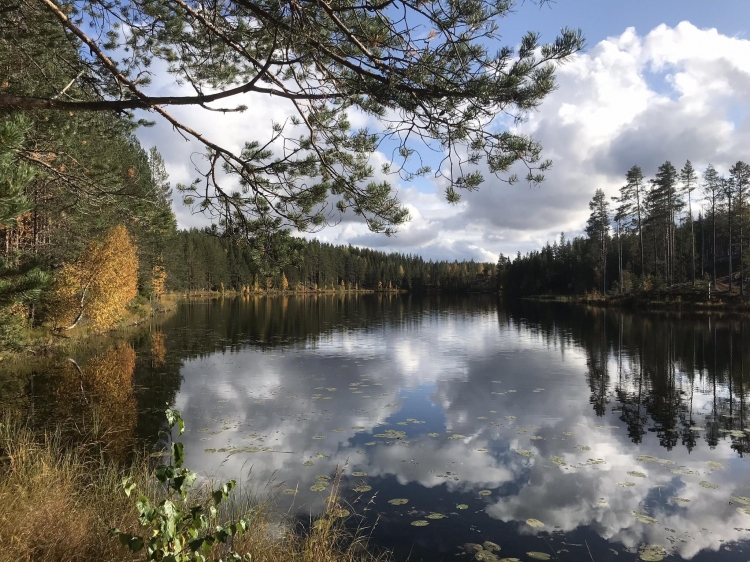 Groepsreis Actieve vakantie Herfst in Zweden