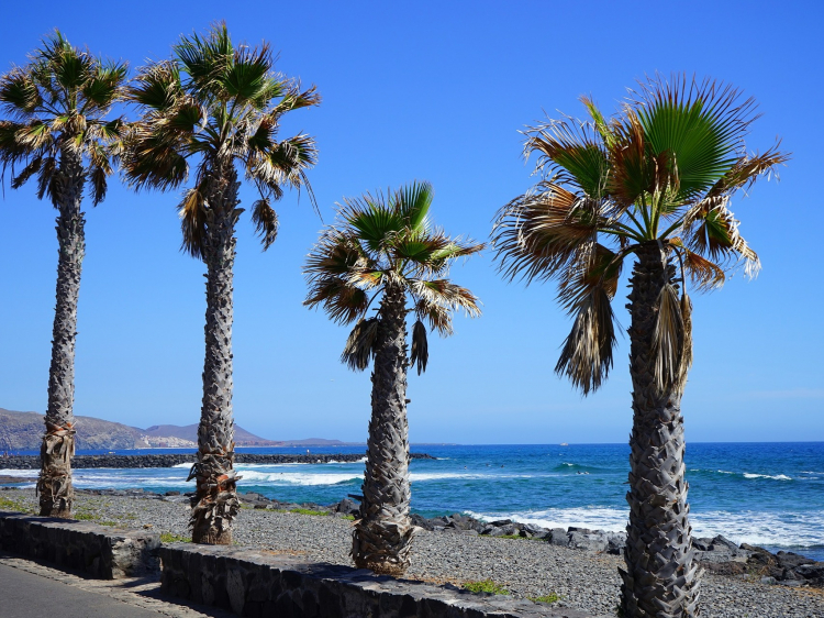 Eenoudervakantie Ontdek & Relax op Tenerife