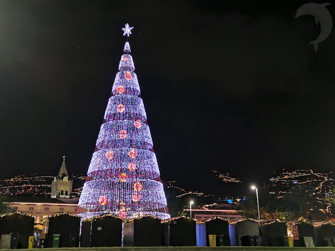 Singlereis Zonnige kerstdagen op Madeira