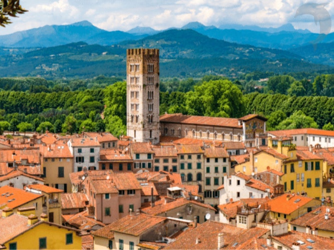 Singlereis Cultuurvakantie in Toscane