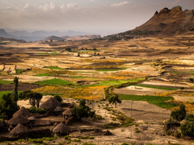 Singlereis Noord-Ethiopië 13-daagse rondreis