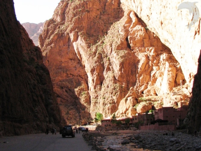 Singlereis Marokko Zuid 15-daagse rondreis
