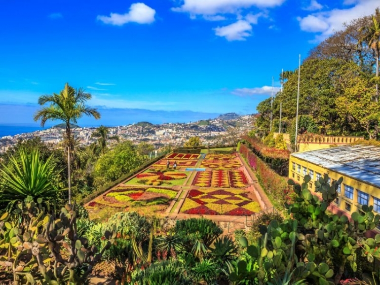 Singlereis HBO+ genieten op Madeira 