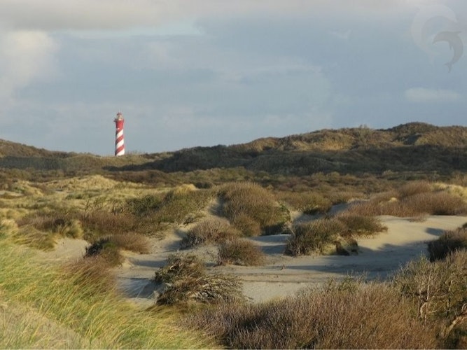Eenoudervakantie Actieve rondreis Van Texel naar Ameland