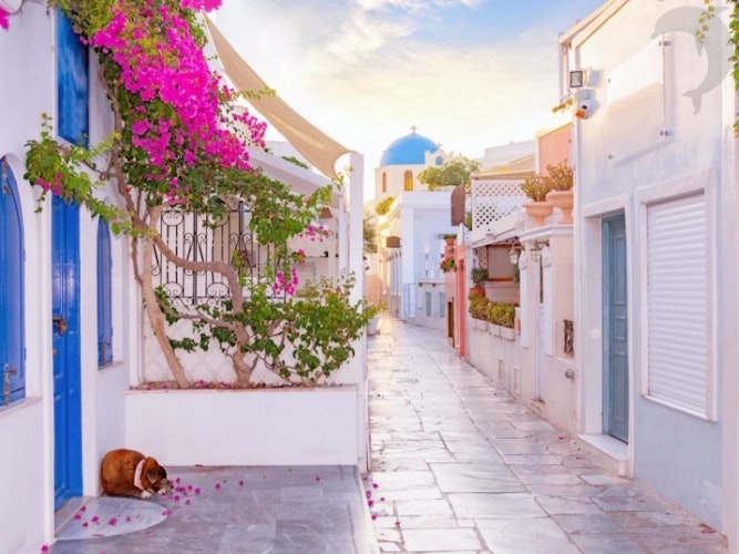 Singlereis Jouw zeilvakantie  Santorini