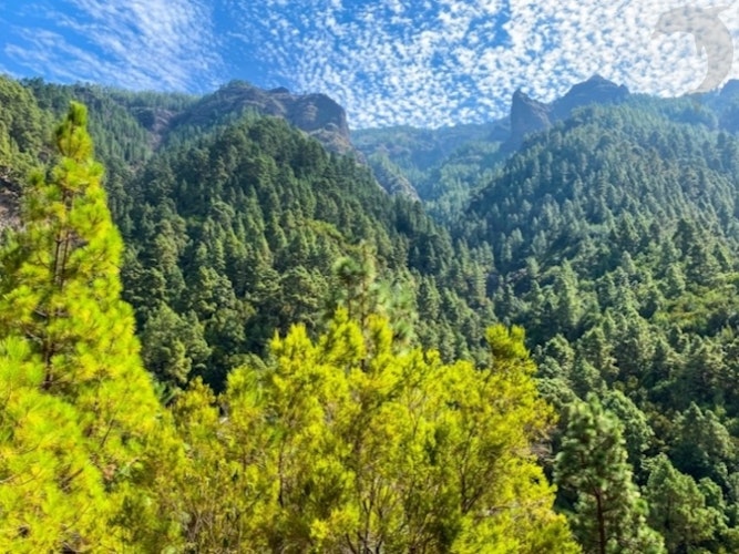 Groepsreis Hiken op Tenerife  GR131 Camino Natural 