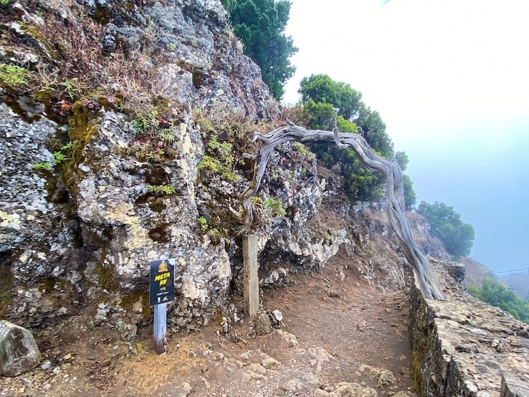 Groepsreis Hiken op El Hierro  GR131 Camino Natural