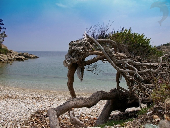 Singlereis Zon, Zee en Strand op Samos