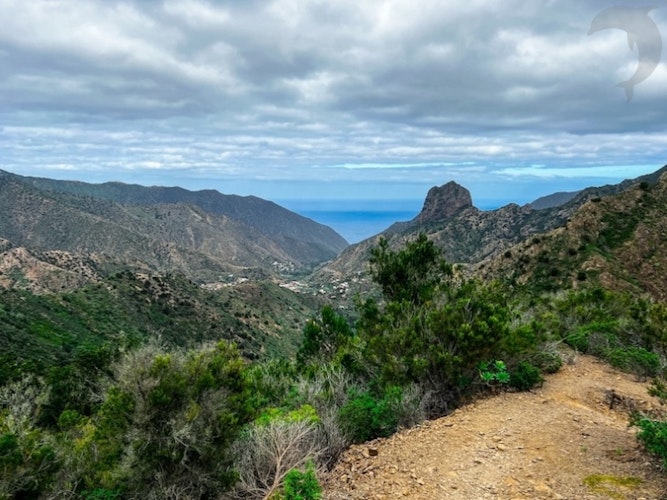 Groepsreis Hiken op La Gomera  GR131 Camino Natural