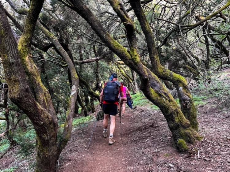 Groepsreis Hiken op La Gomera  GR131 Camino Natural