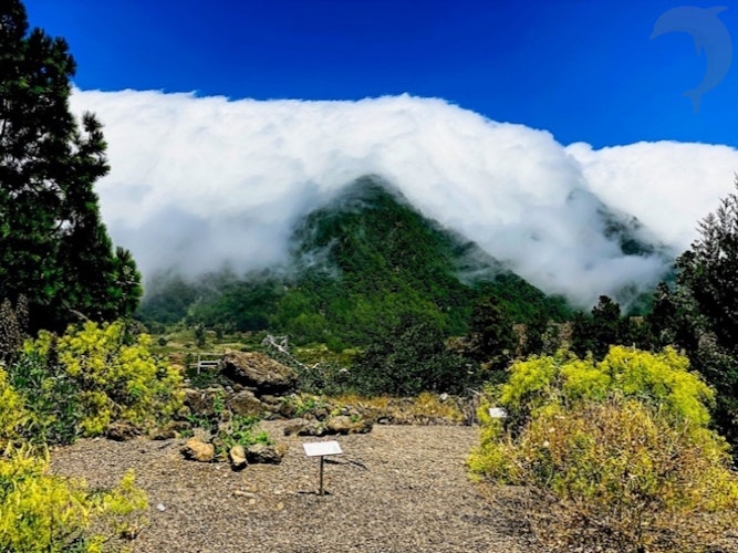 Groepsreis Hiken op La Palma  GR131 Camino Natural