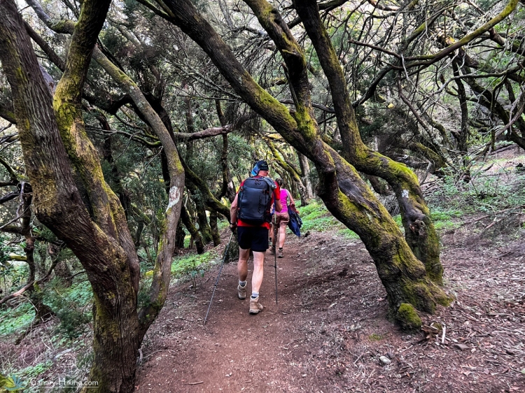 Groepsreis Hiken op La Gomera & El Hierro GR131 Camino Natural