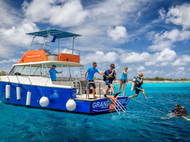 Singlereis Duikvakantie Bonaire  het Duikersparadijs