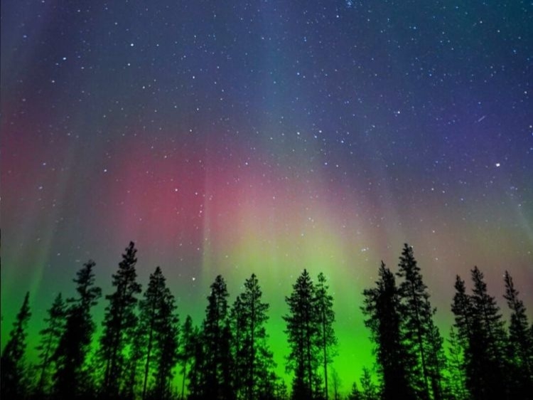 Groepsreis Noorderlicht Avontuur In Zweeds Lapland