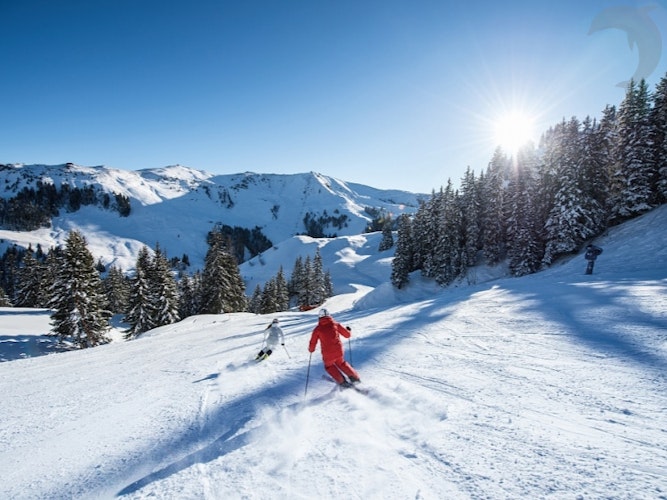 Singlereis Wintersport Brixen im Thale
