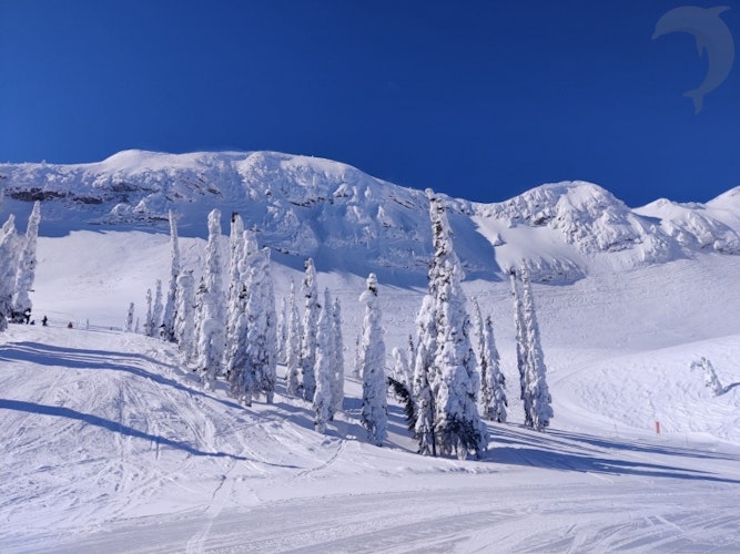 Groepsreis Canada Ski Safari Roadtrip in de Rocky Mountains