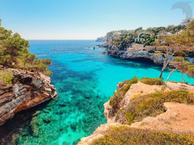 Singlereis Strand en Cultuur Op Mallorca