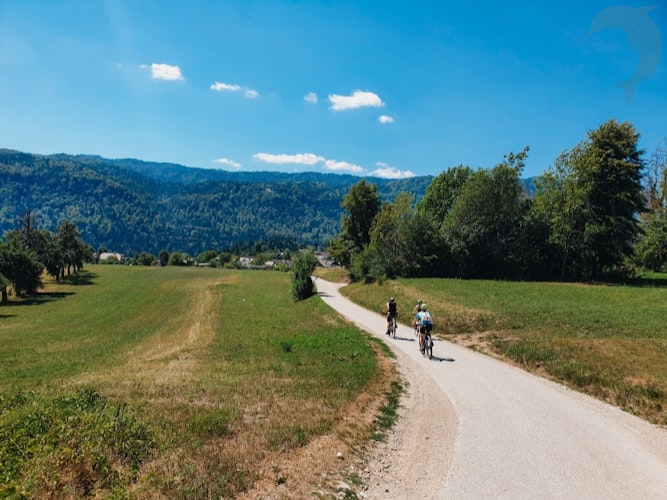 Singlereis Kamperen in Slovenië / Bled
