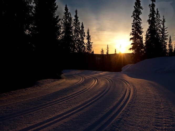 Groepsreis Actieve Winterreis Verrassend Noorwegen